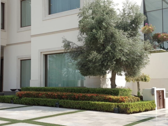 Redeck Pools & Landscaping