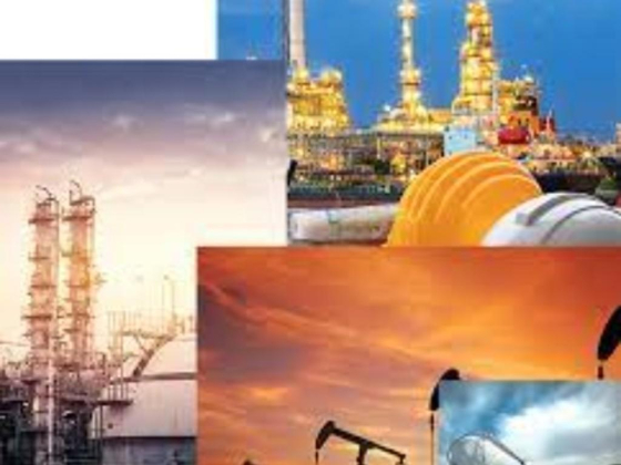 Vision Plus Fuel Trading