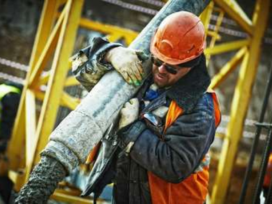 Noble Vision Building & Construction Materials Trading