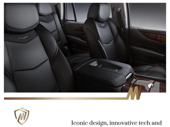 Mojay Lifestyle Limousine Luxury Motor Vehicles Services