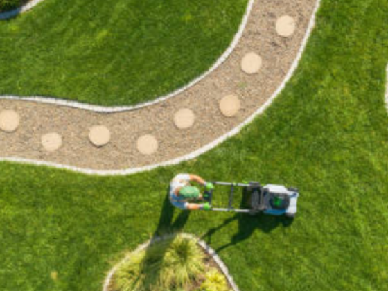 Green Gardenia Landscaping