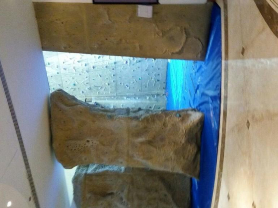 The Pharaoh"s Club Climbing Wall