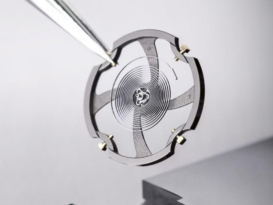 Swiss Watch Group