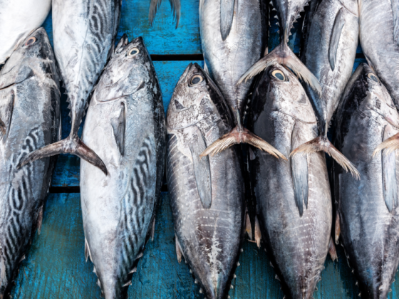 Noor Aldiyafa Fish & Meat Trading