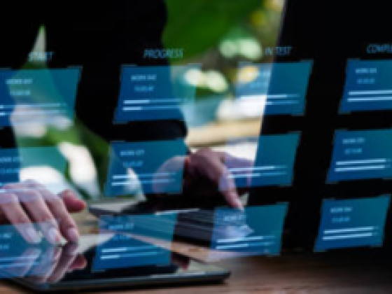 Anozy For Project Management Services