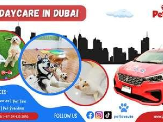 Petlove Grooming & Accessories