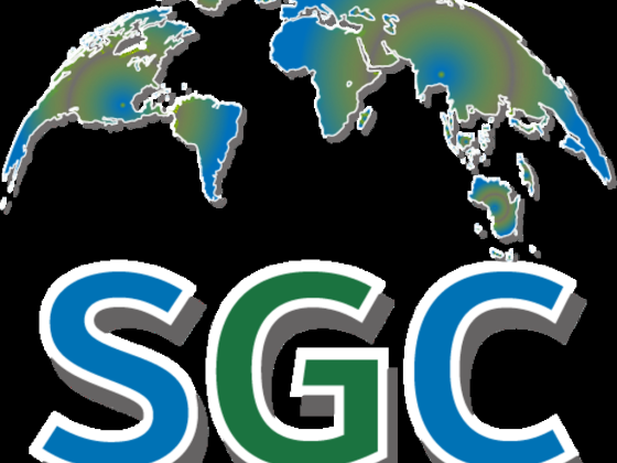 Springs Global Consultancy