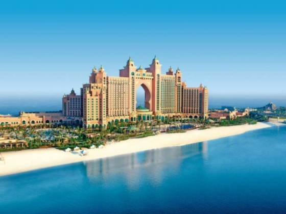 Sea Life Watersports Equipment Rental