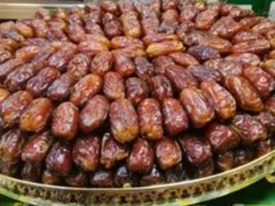 Al Raiqa Date Fruit Trading