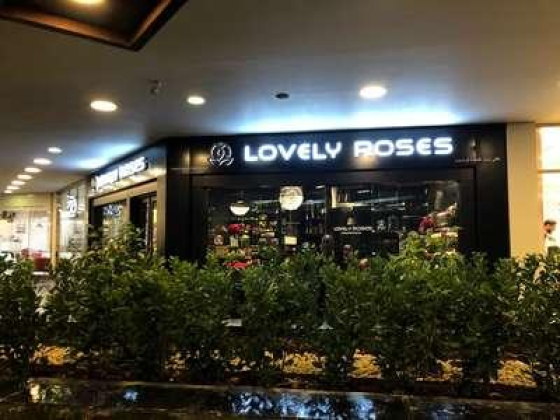 Lovely Roses Trading