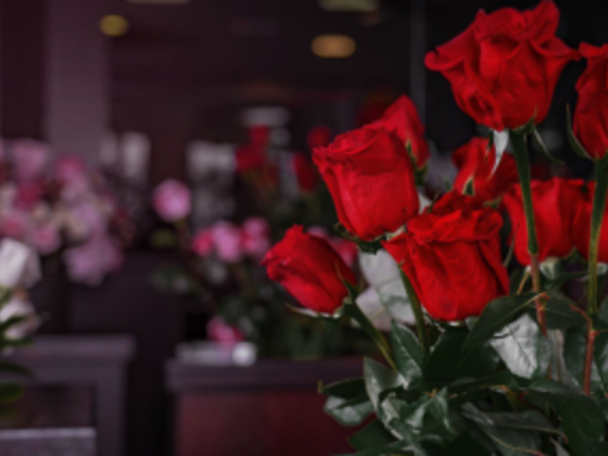 Lovely Roses Trading