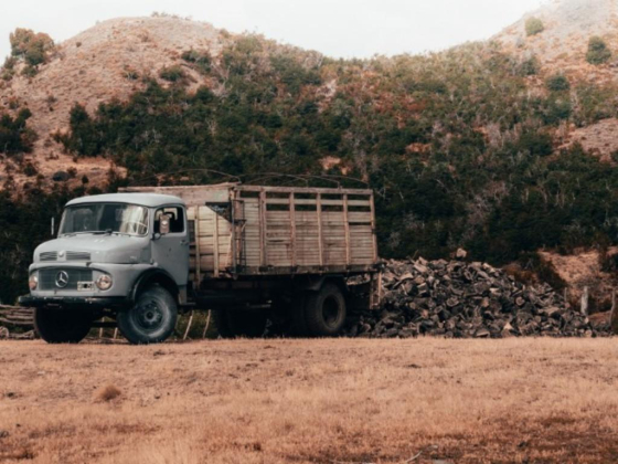 Lotus Transport By Heavy Trucks