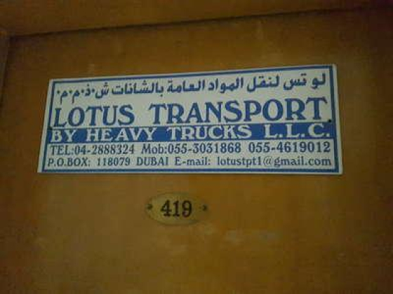 Lotus Transport By Heavy Trucks