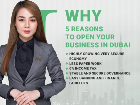 Jsb Incorporation Corporate Services Providers