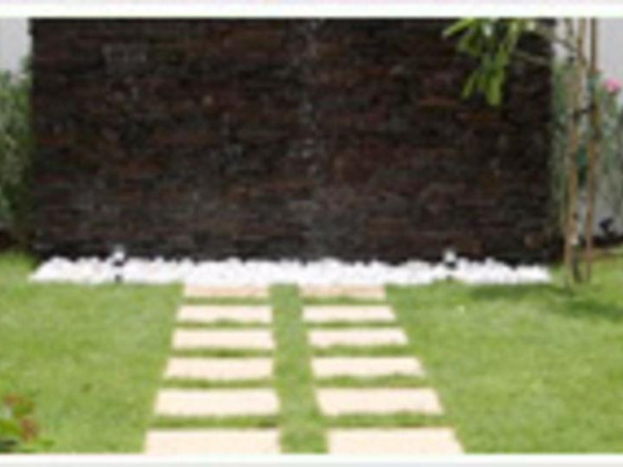 Lucky Landscaping
