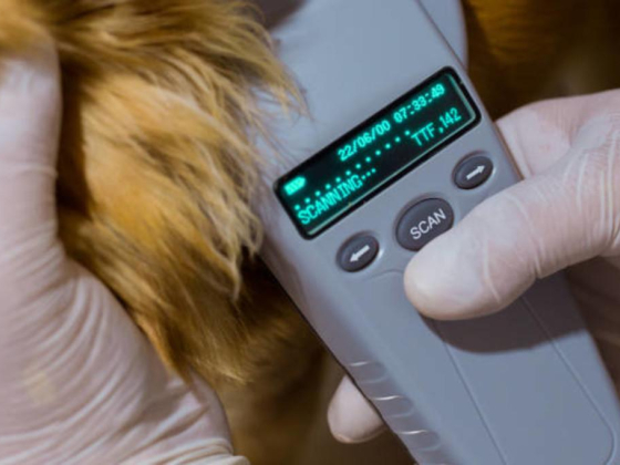 Wam Care Medicine And Equipment Veterinary Trading