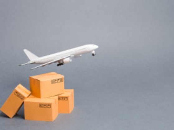 F N C Alliance Cargo Services
