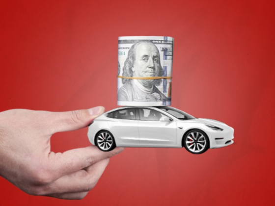 Carro Hub Auctions Organizing