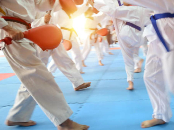Golden Falcon Karate