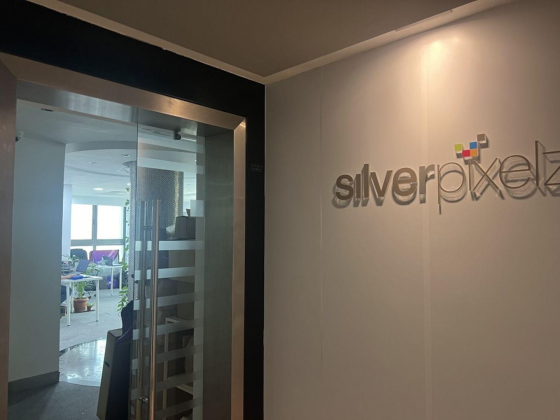 Silver Pixelz