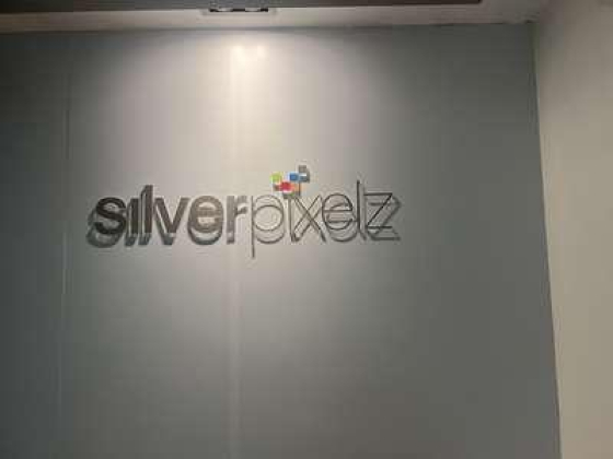 Silver Pixelz