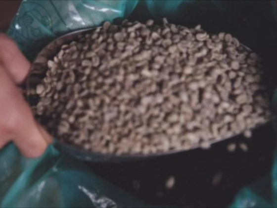 Red Fruit Specialty Coffee