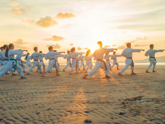 Fighting Arts Sports Services