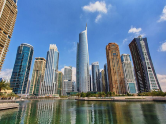 Barnes International Realty