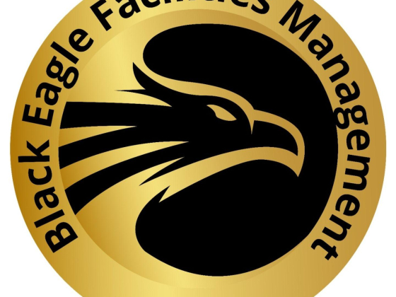 Black Eagle Professional Services