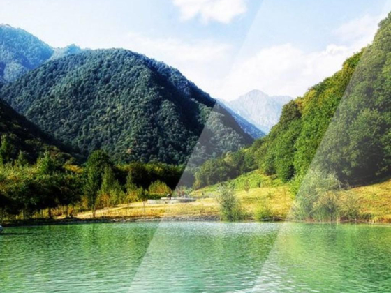 Darwish Bin Ahmed Travel L.L.C