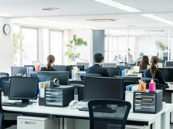 Ascentia Global Auditing Of Accounts
