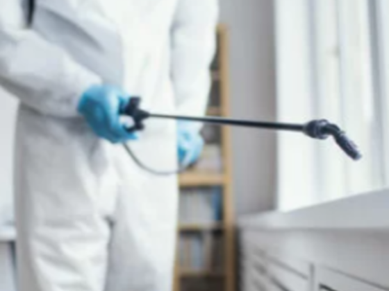 Uber Home Cleaning Services
