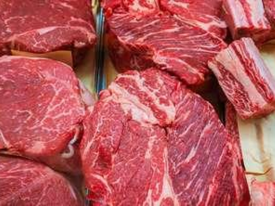 Shaukat Ibrahim Meat Trading