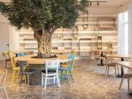Pots & Paints Cafe