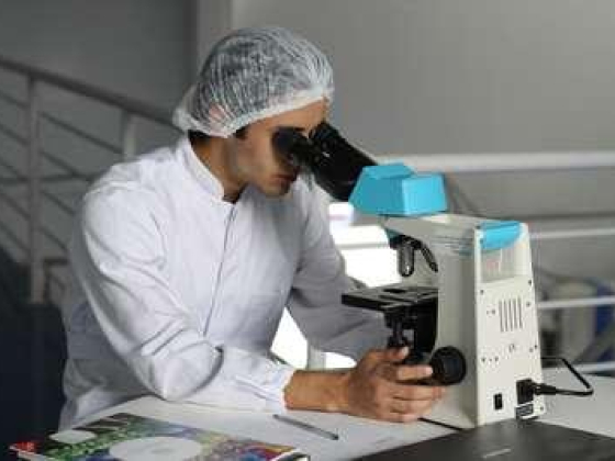 Al Amana Medical Equipment Laboratory L.l.c (branch)