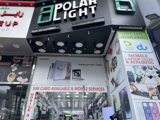 Polar Light Electronics