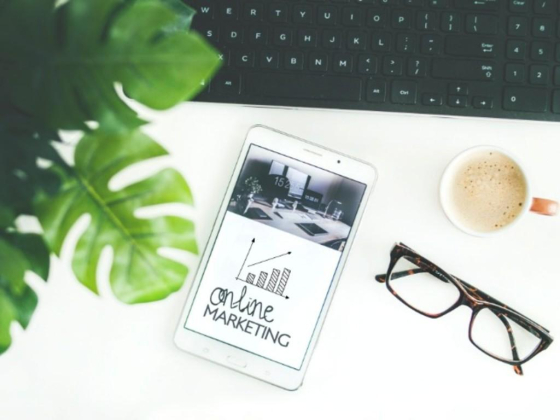 Systematic Market Research Consultancy