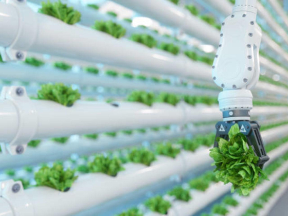 The Food Engineer Farm