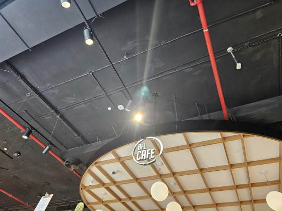 B F L Cafe
