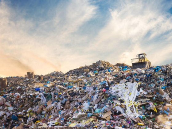Al Madina Waste Paper Trading