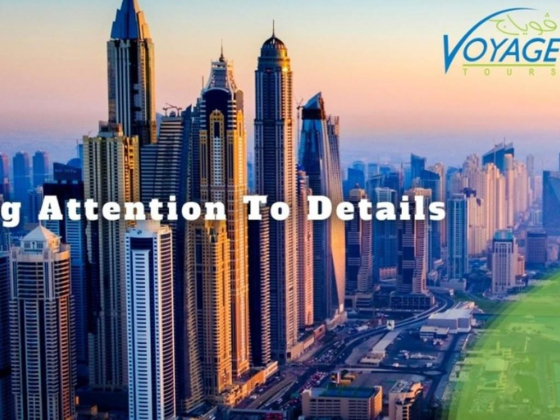 Voyage Tours