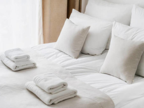 Dolphin Guest House