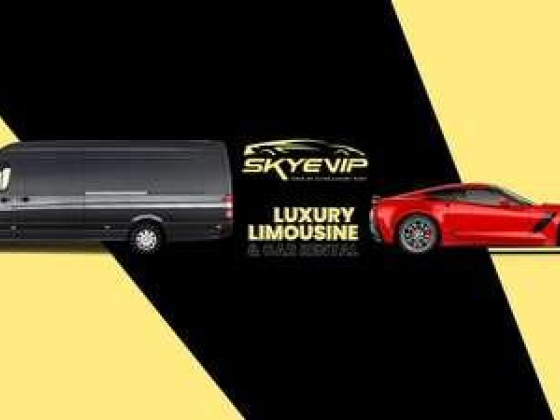 Skye Vip Limo & Car Rental - 21