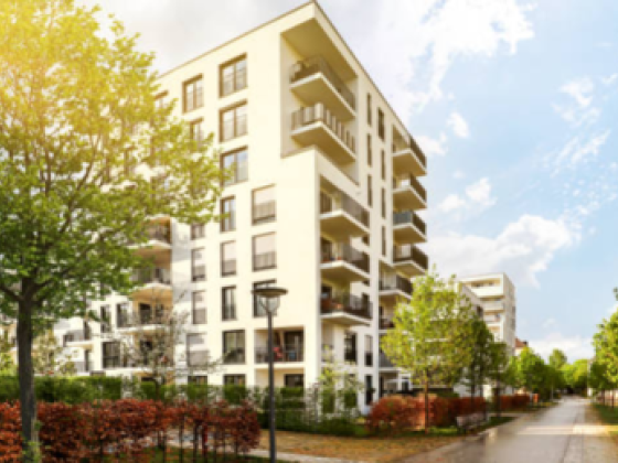Luxury Zone Real Estate