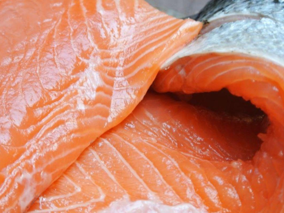 Al Qabab Fish Trading