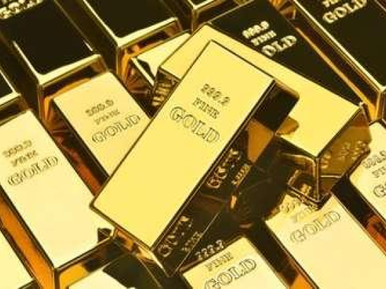 Red & White Gold General Trading