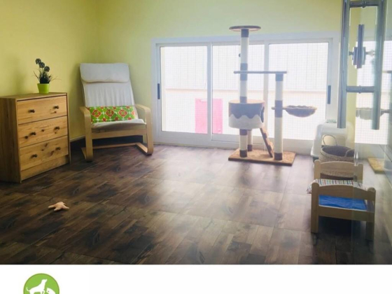 Pet Station Kennels & Cattery
