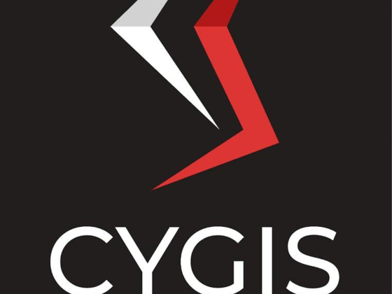 Cygis Information Technology Services