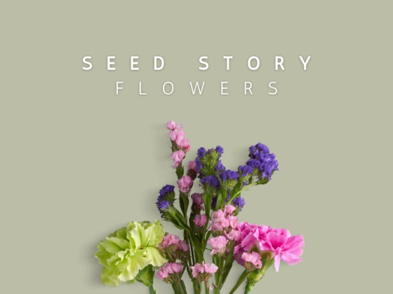 Seed Story Flowers