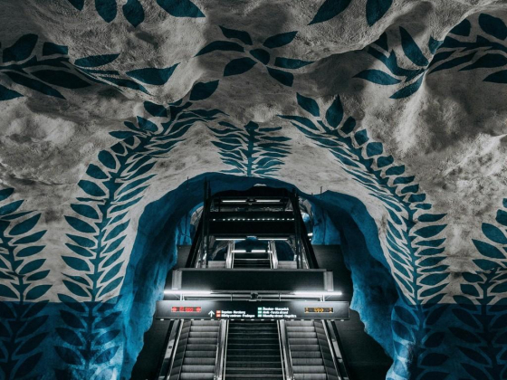 Fast Track Elevators & Escalators